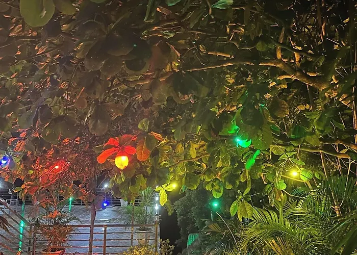 Sacaan Tropical Breeze *